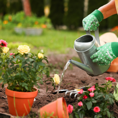 Watering a garden